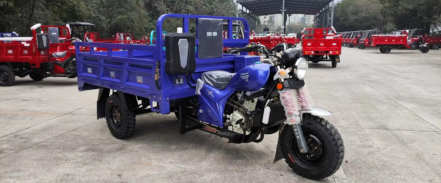 Passenger Electric Tricycle