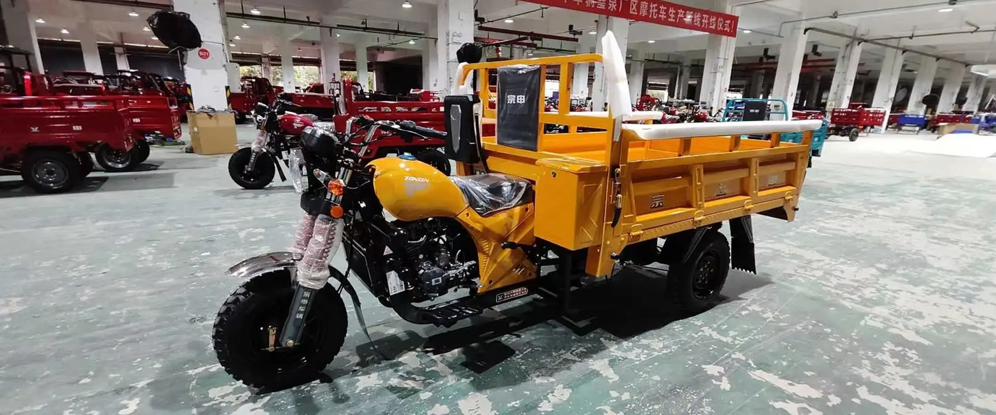 Leisure Electric Tricycle