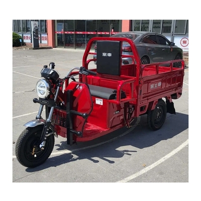 Heavy Duty Electric Tuk Tuk Tricycle for Cargo 1500*1000*280mm Driving Mileage≥90km