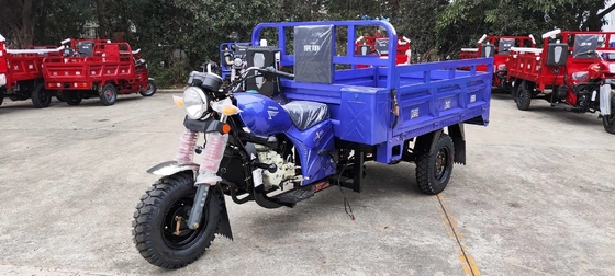 151 200cc Displacement 3 Wheel Gasoline Engine Motorized Petrol Cargo Tricycles for Adults