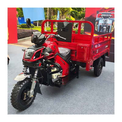 3 Wheel Petrol Engine Tricycle with Sidecar in Pakistan Easy to Operate and Maintain