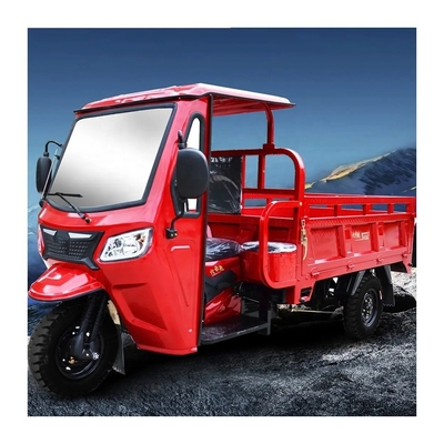 8 Leaf Springs Rear Suspension 250cc Gasoline Motorcycle with Automatic Transmission