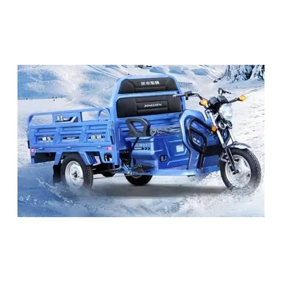Front 3.00-12 / Rear 3.50-12 Tire Size Heavy Duty E Bike Tricycle for Adults in Panama
