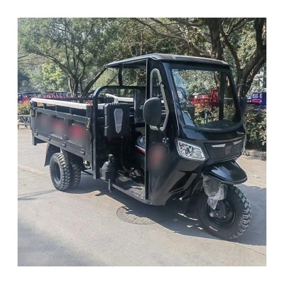 Maximum Speed 50-70Km/h Automatic Gasoline Powered 3 Wheel Trike Motorcycle for Adult