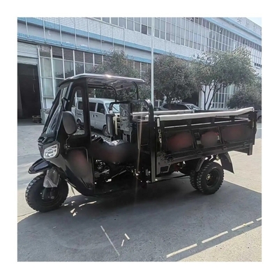 Maximum Speed 50-70Km/h Automatic Gasoline Powered 3 Wheel Trike Motorcycle for Adult