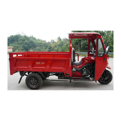 Open Body Type 250cc Gasoline Tricycle with 3 Wheels and Umbrella 5.00-12 Tire Size