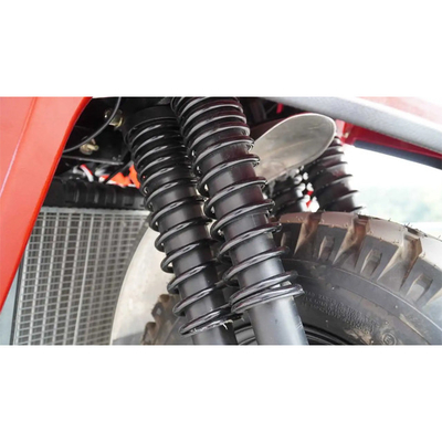 Open Body Type 250cc Gasoline Tricycle with 3 Wheels and Umbrella 5.00-12 Tire Size