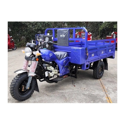 250cc Gasoline Motorcycle Heavy Duty Cargo Motorized Petrol Tricycles Body Type Open