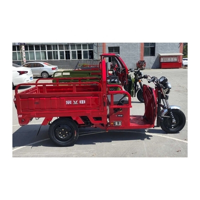 1000 Watt Differential Cargo Motorcycle with 3.00-12 / 3.00-12 Tire Size and 60V Voltage