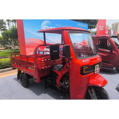Maximum Speed 50-70Km/h Three Wheel 250cc Petrol Engine Powered Motor Cargo Tricycle