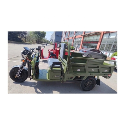 Front Drum Rear Drum Brake System 3 Wheel Electric Tricycle for Adult and Canopy