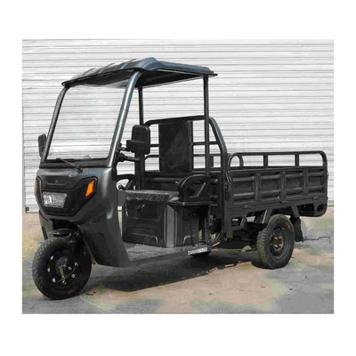 USA 3 Wheel Dump Truck Cargo Tricycle Cargo Bike with Roof and 1000W Power