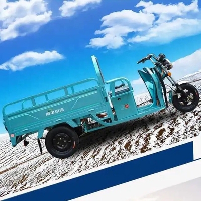Electric Motorized Cargo Tricycle Bike / Adult Three Wheel Moped with 3-5h Charge Time