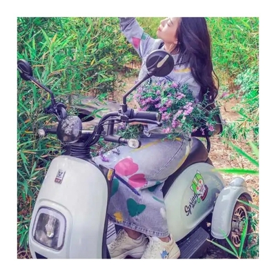650W Three Wheel Electric Tricycle Motorcycle Bike for Adults Driving Type Electric