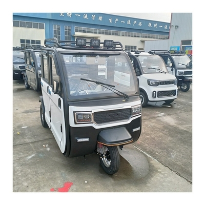 60V Voltage Enclosed Electric Tricycle for Adult Delivery and Grade Ability ≥25°