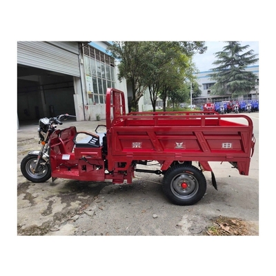 Goods Transportation Special Tricycle with MXZS 1A13 Engine Model and 60km/h Max Speed