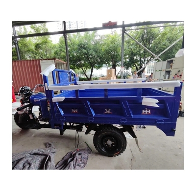 South Africa Sale Gasoline Powered 3 Wheel Motorcycle with Curb Weight of 400-500kg