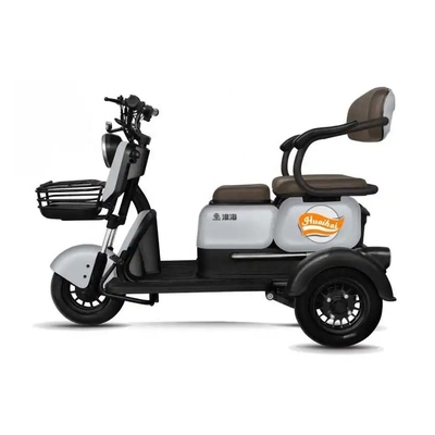 Passengers 2 3-Wheel E-Scooter Motor E-Bike for Adults Tuk Tuk Mobility E Scooter