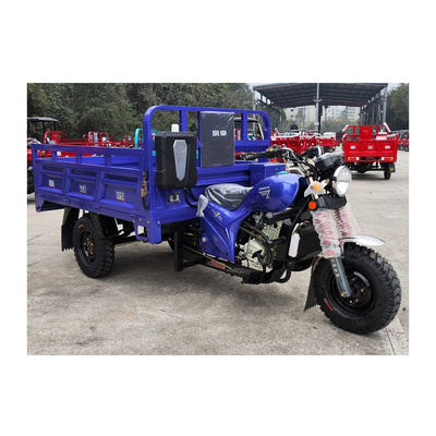 3500*1440*1450mm Motorized Tricycle with 250cc Engine and Maximum Speed of 50-70Km/h