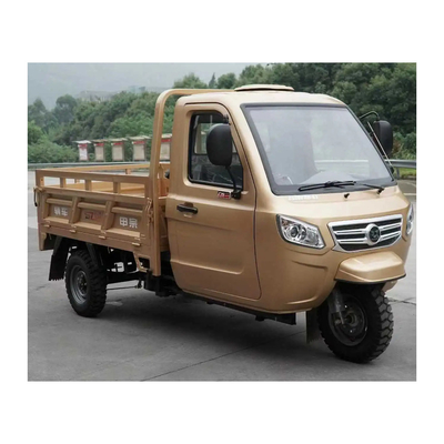 Cargo Tricycle for Cargo Transportation Trimotos Cerradas