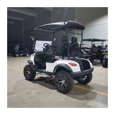 Minimum Grand Clearance 100-150mm Equipped Standing Postion Excar Mini Golf Cart Club Car
