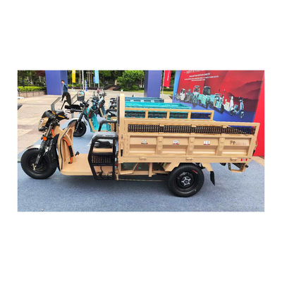 3 Wheel Electric Etrike with Front Drum Rear Drum Brakes and 70-90km Driving Mileage